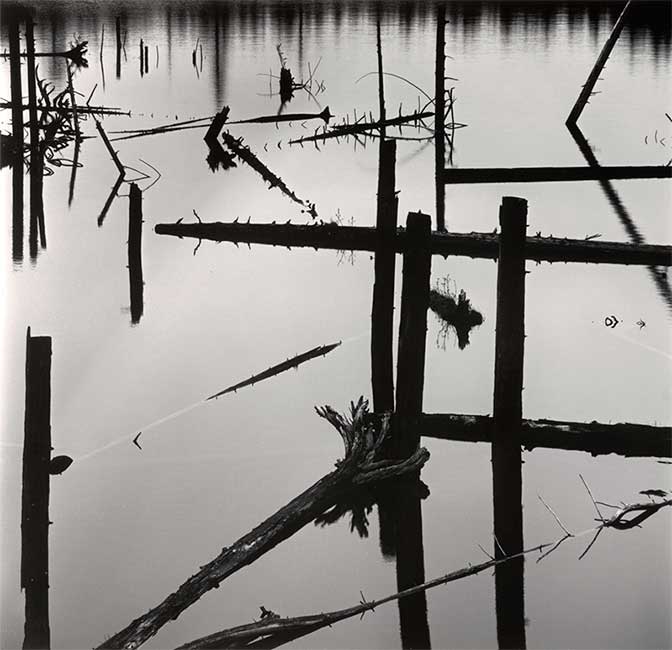 The Photographs of Brett Weston