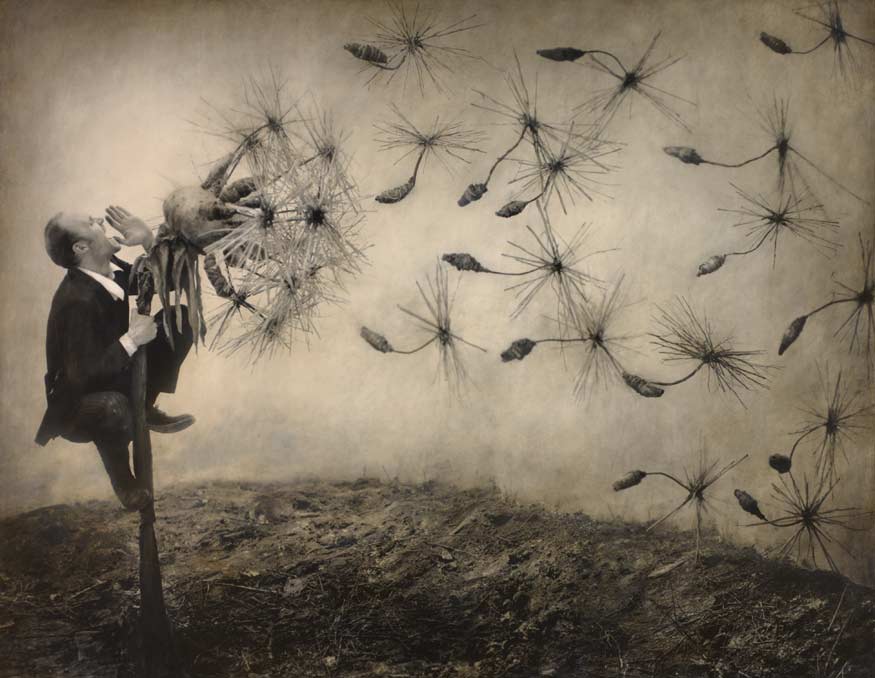 Restoration: Robert and Shana ParkeHarrison | Nelson Atkins