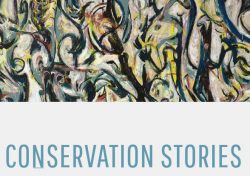 Conservation Stories PDF