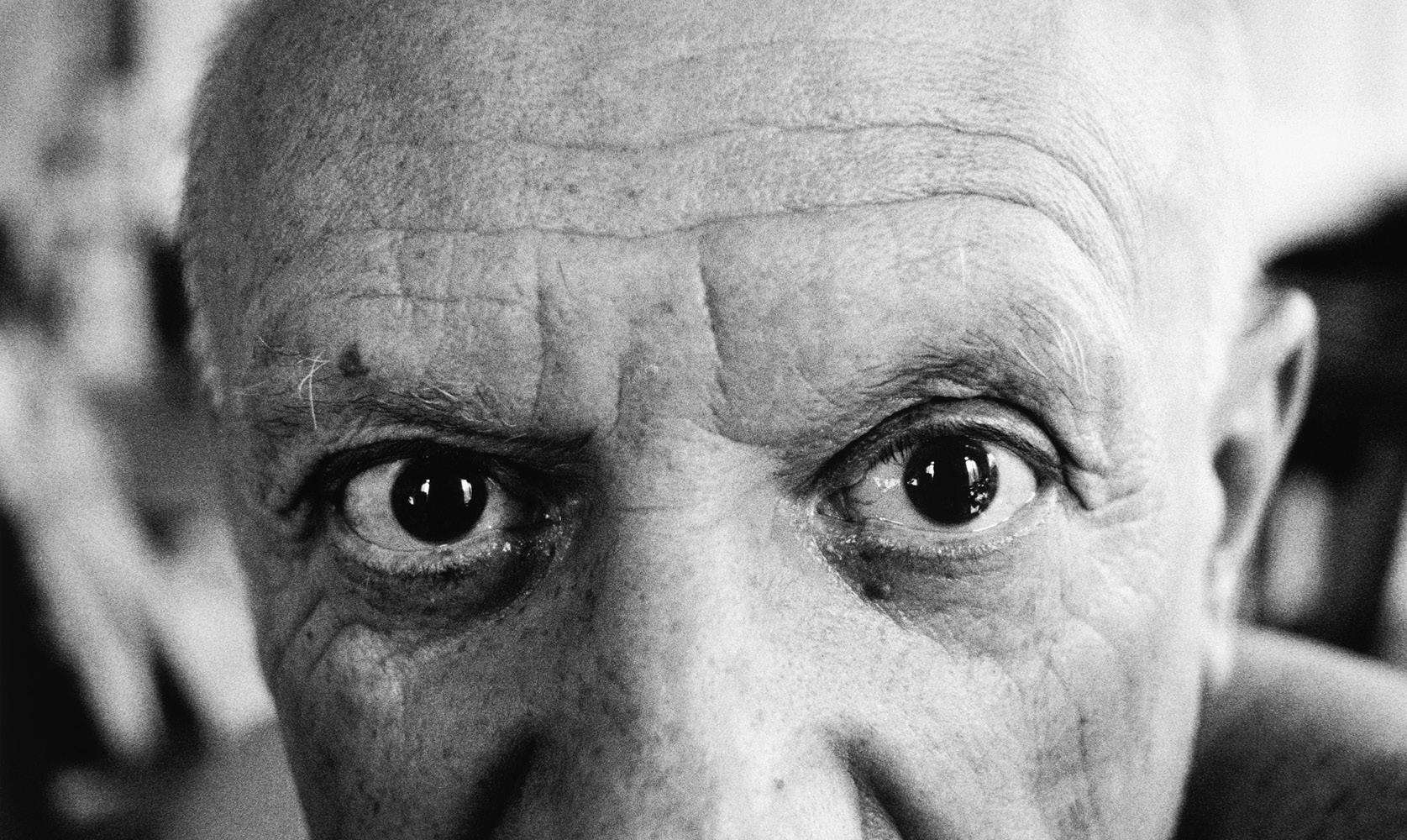 Through the Eyes of Picasso