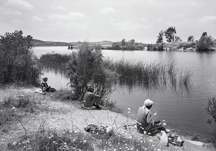 Public Fishing Areas No 29 