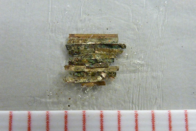 Jain Shrine Microscopic Paint Sample