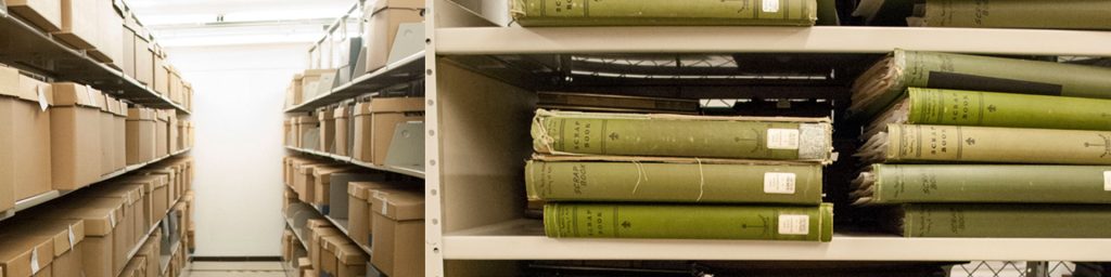 image of books on a shelf