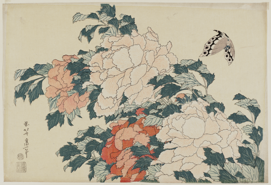 Woodprint of peony flowers with a gray butterfly.