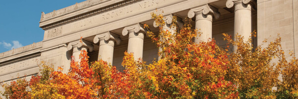 Fall view of The Nelson-Atkins cropped tightly with large pillars on building and orange and yellow leaves filling the lower half of the view