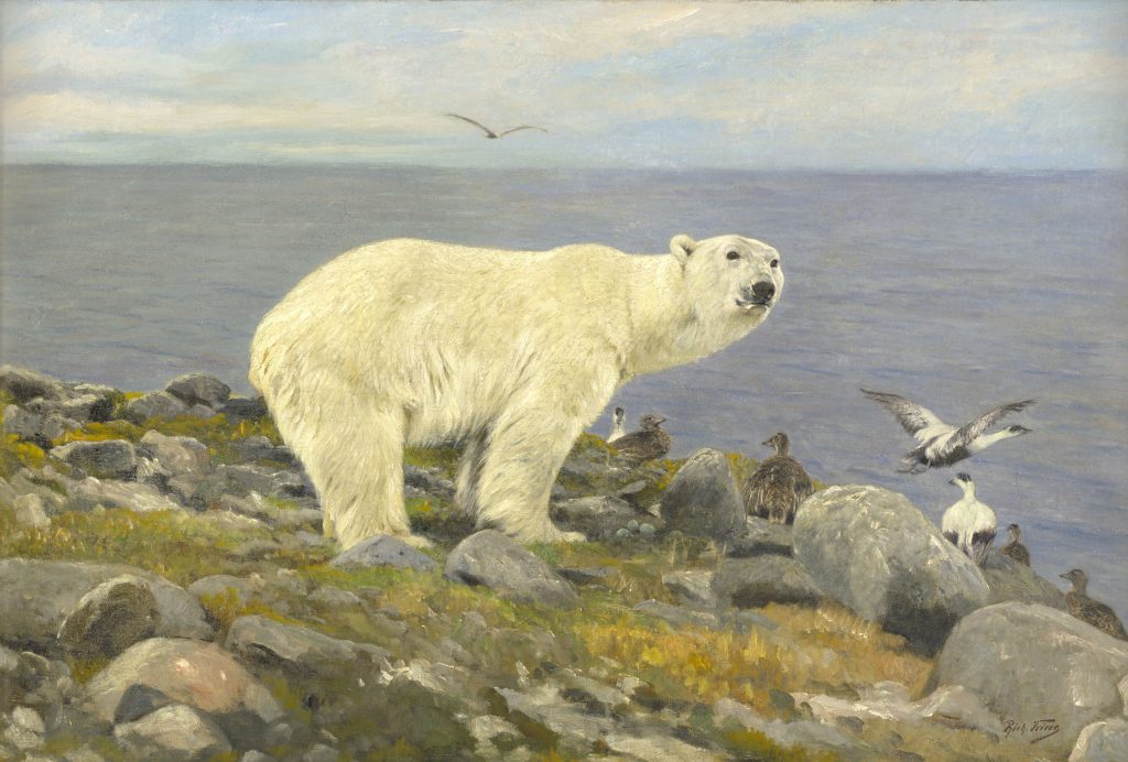 A polar bear on a grassy coast near sea birds.