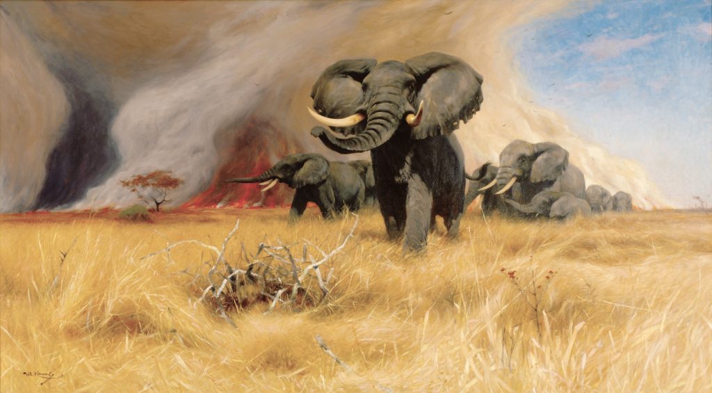 A group of elephants on a grassy field.