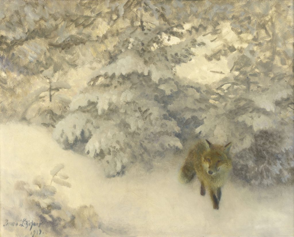 A tan fox on a snowy landscape.