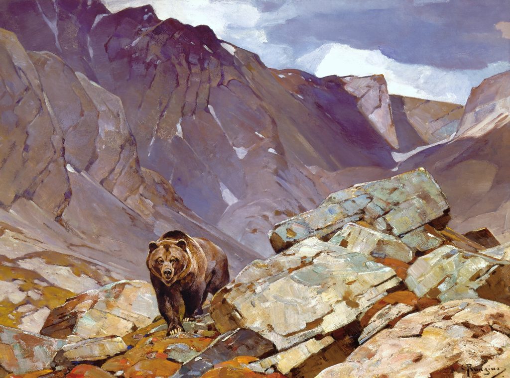 A brown bear on a rocky mountain top. 