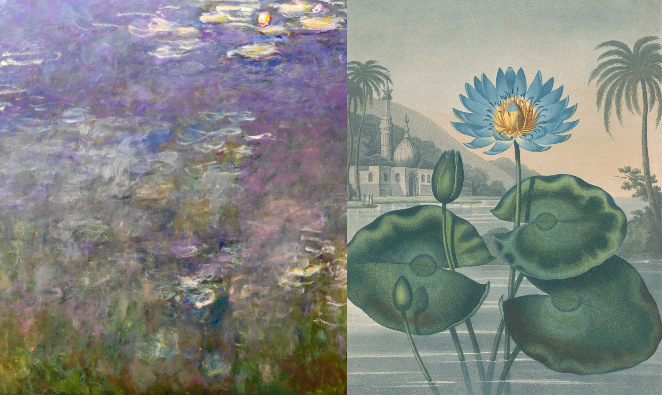 Monet’s Garden and the Secret Language of Flowers