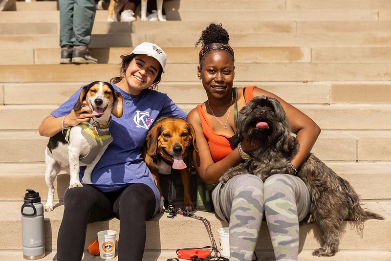 Two guests pose with their dogs on the south steps of the Nelson-Atkins