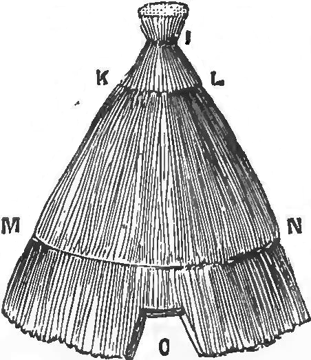 A black and white print of a drawing of a straw hackle. On the drawing, letters surrounded the picture.