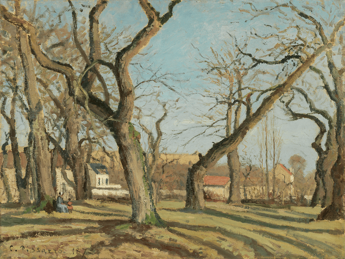 A field of large bare trees whose trunks and branches fill an empty blue sky. The small white houses of a rural village are visible beyond the trees.