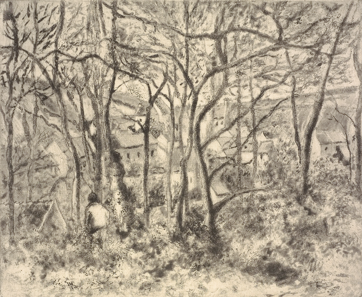 A photograph of a sketch of black with thin leave on the trees overlooking a large town.