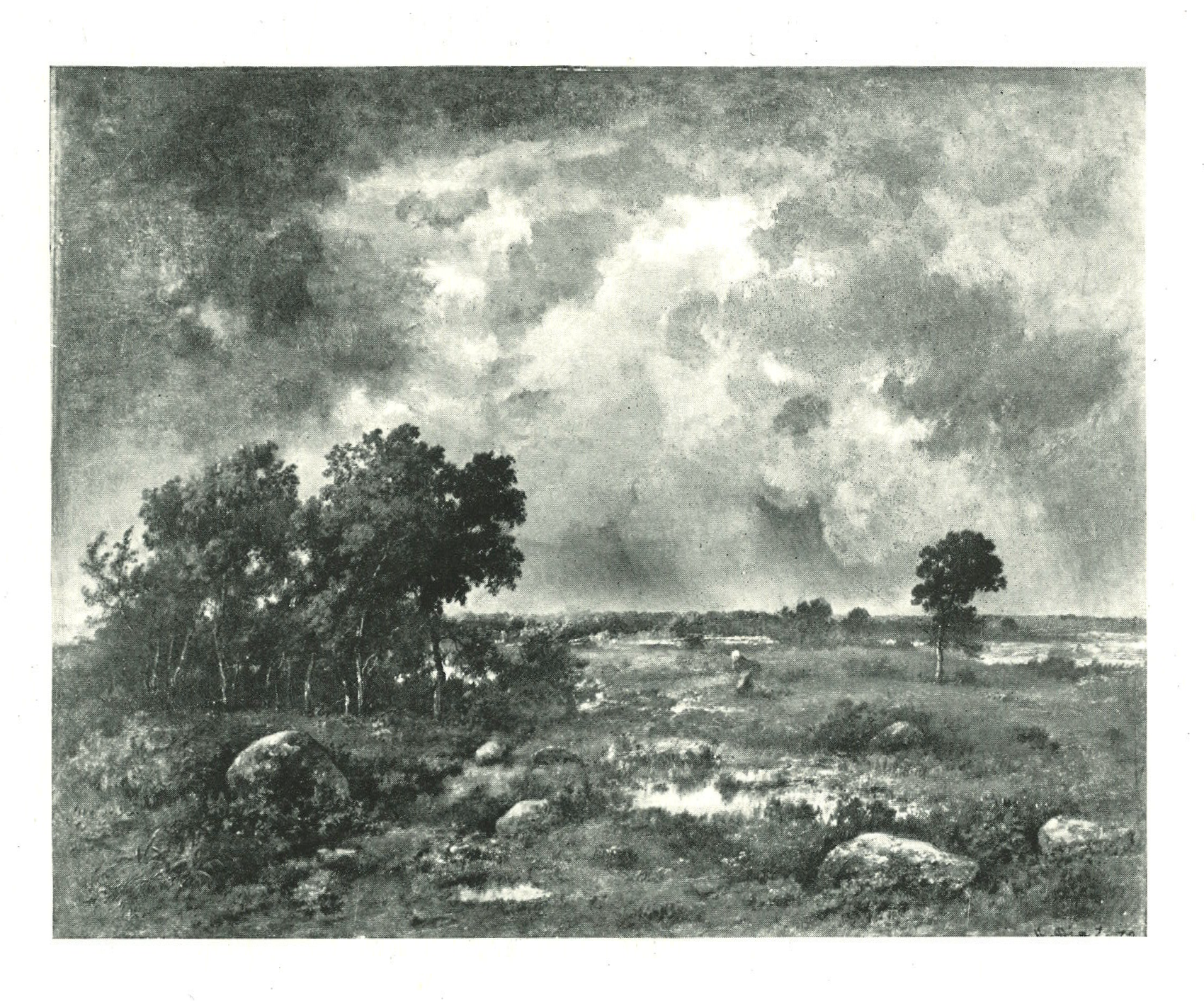 An image of a large field with trees scattered across it. To the right is a small pound which reflects the cloudy sky above.