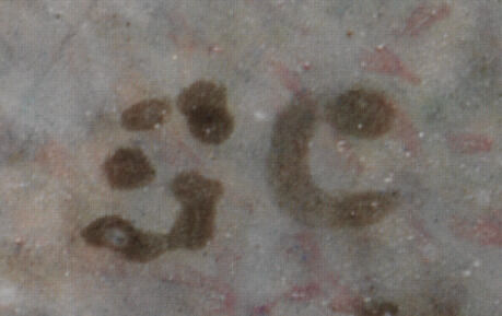 The letters 'S' and 'C' painted with several short strokes.